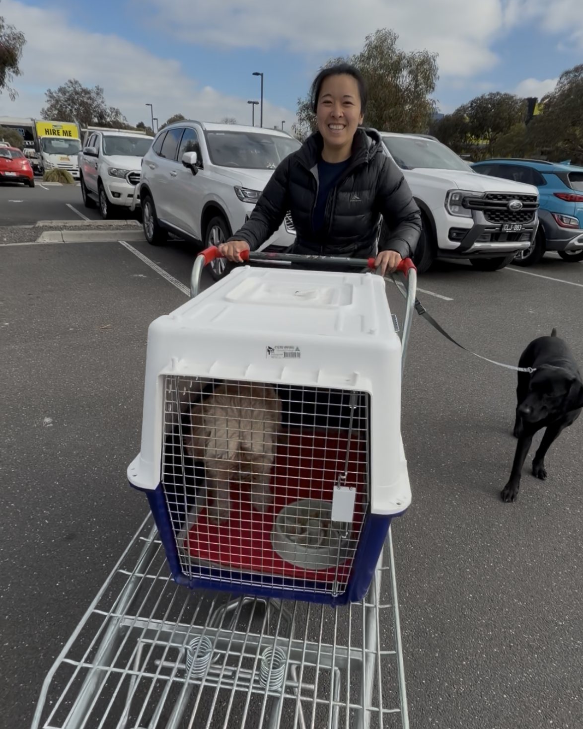 Diona pushing an airline crate on a trolley with a Cavoodle inside and Murphy walking beside, a crate-moving rehearsal before a flight to New York