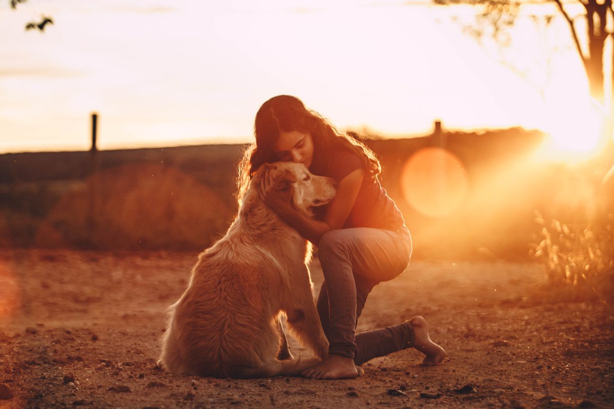 An owner crouched and quietly holding their dog at sunset, the bond that matters more than blame