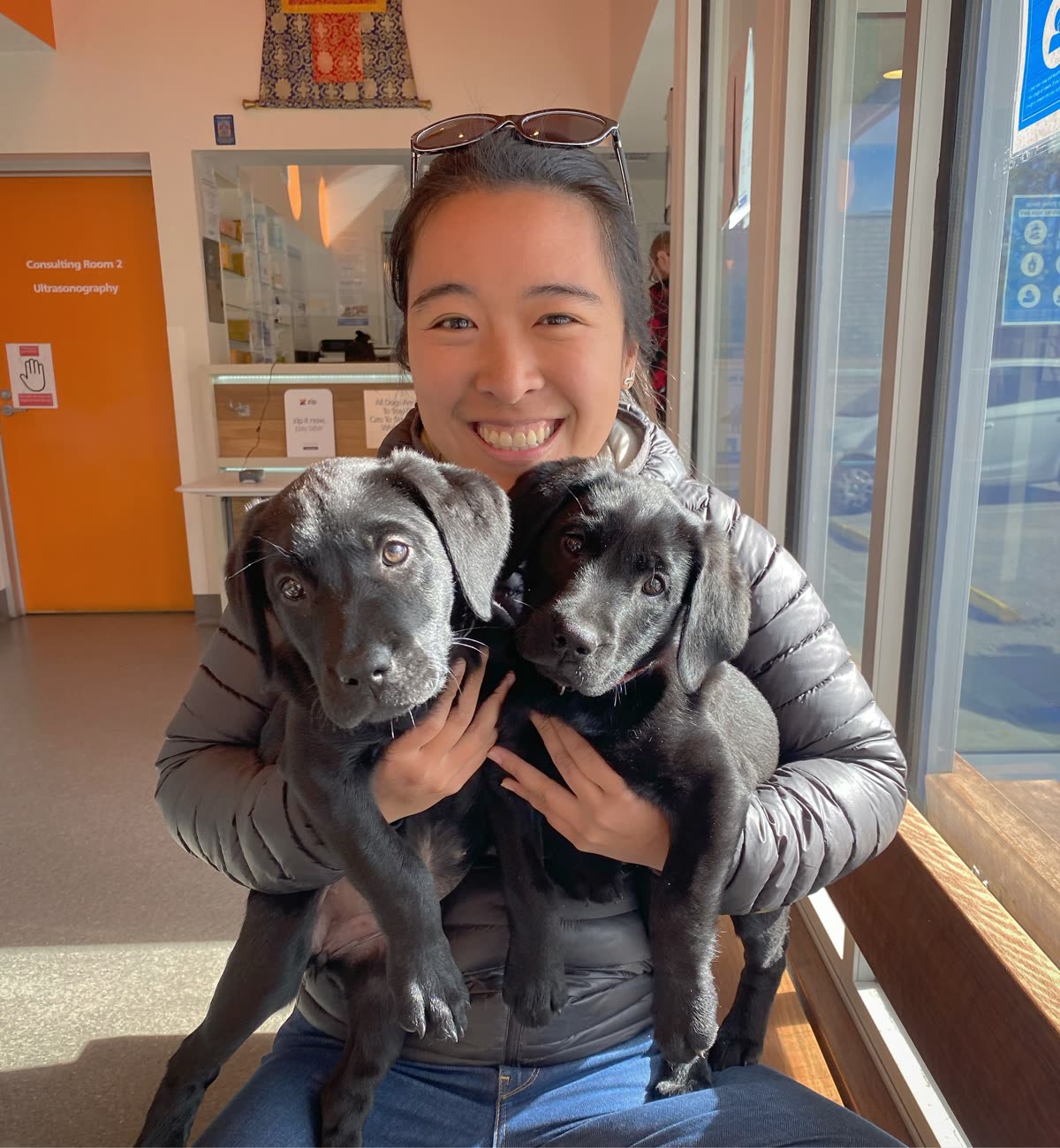 Diona holding two black Labrador puppies of the same age